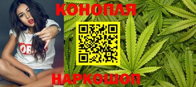 шишки Анапа