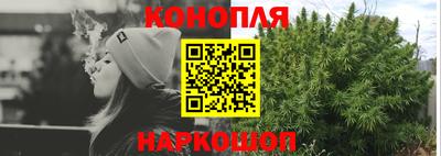 шишки Анапа