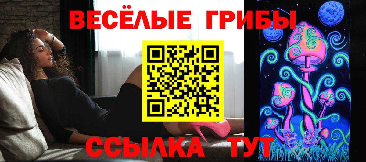 Псилоцибиновые грибы ЛСД  что такое   Вход с VPN  Анжеро-Судженск  Галлюциногенные грибы Psilocybine cubensis 