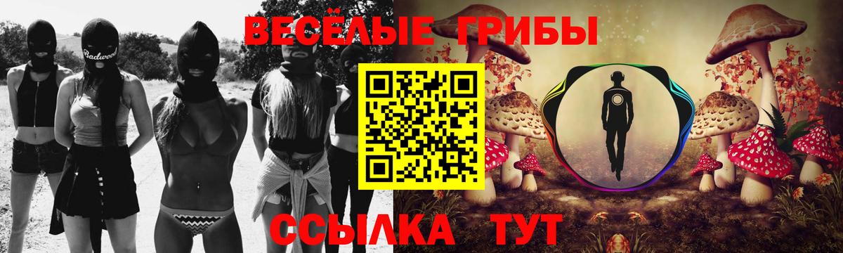 Псилоцибиновые грибы мухоморы Анжеро-Судженск